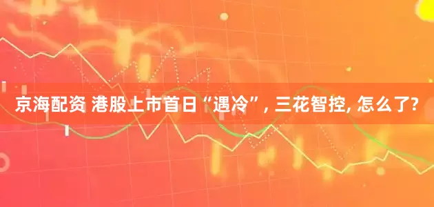 京海配资 港股上市首日“遇冷”, 三花智控, 怎么了?